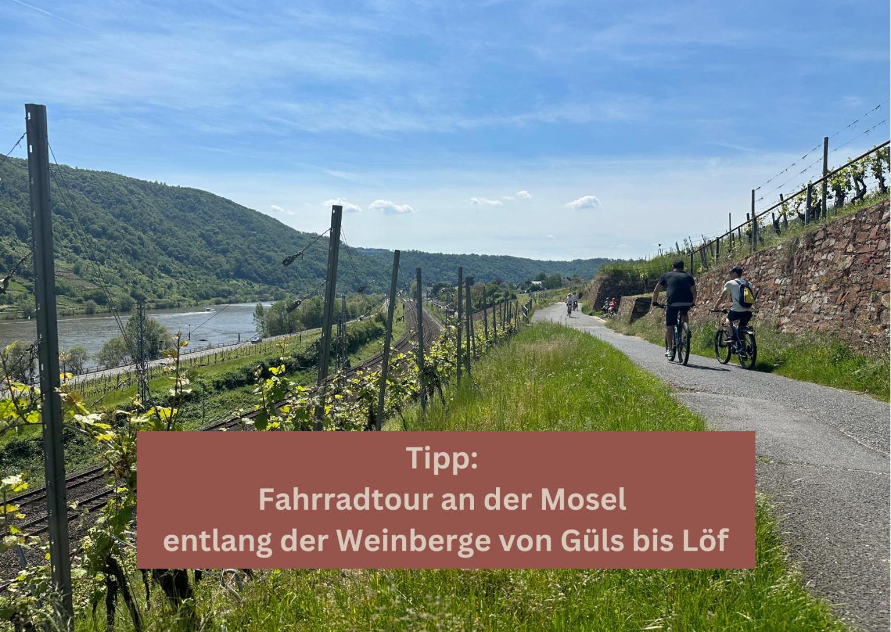New York Apartment - Fuer Freunde & Familien, Stadtnah, Parkplatz, E-Ladestation, Gitterbox Fuer Fahrraeder, Fitnessstudio, Digitale Gaestemappe Mit Restaurant- Und Unternehmenstipps Koblenz  Eksteriør billede